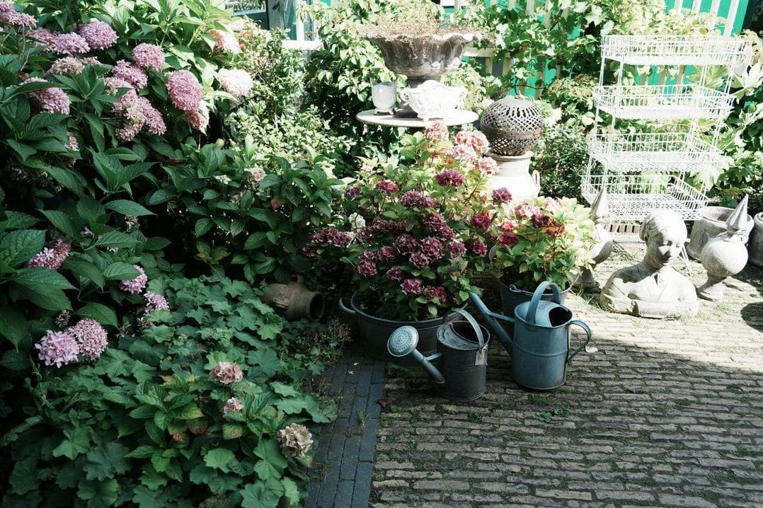 Jardins d'Exception 14